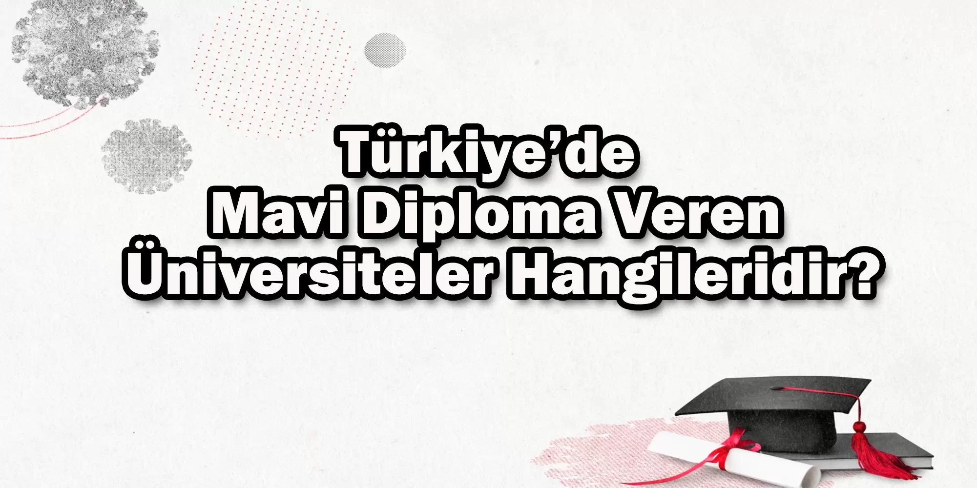 turkiye de mavi diploma veren universiteler hangileridir e1674469349225