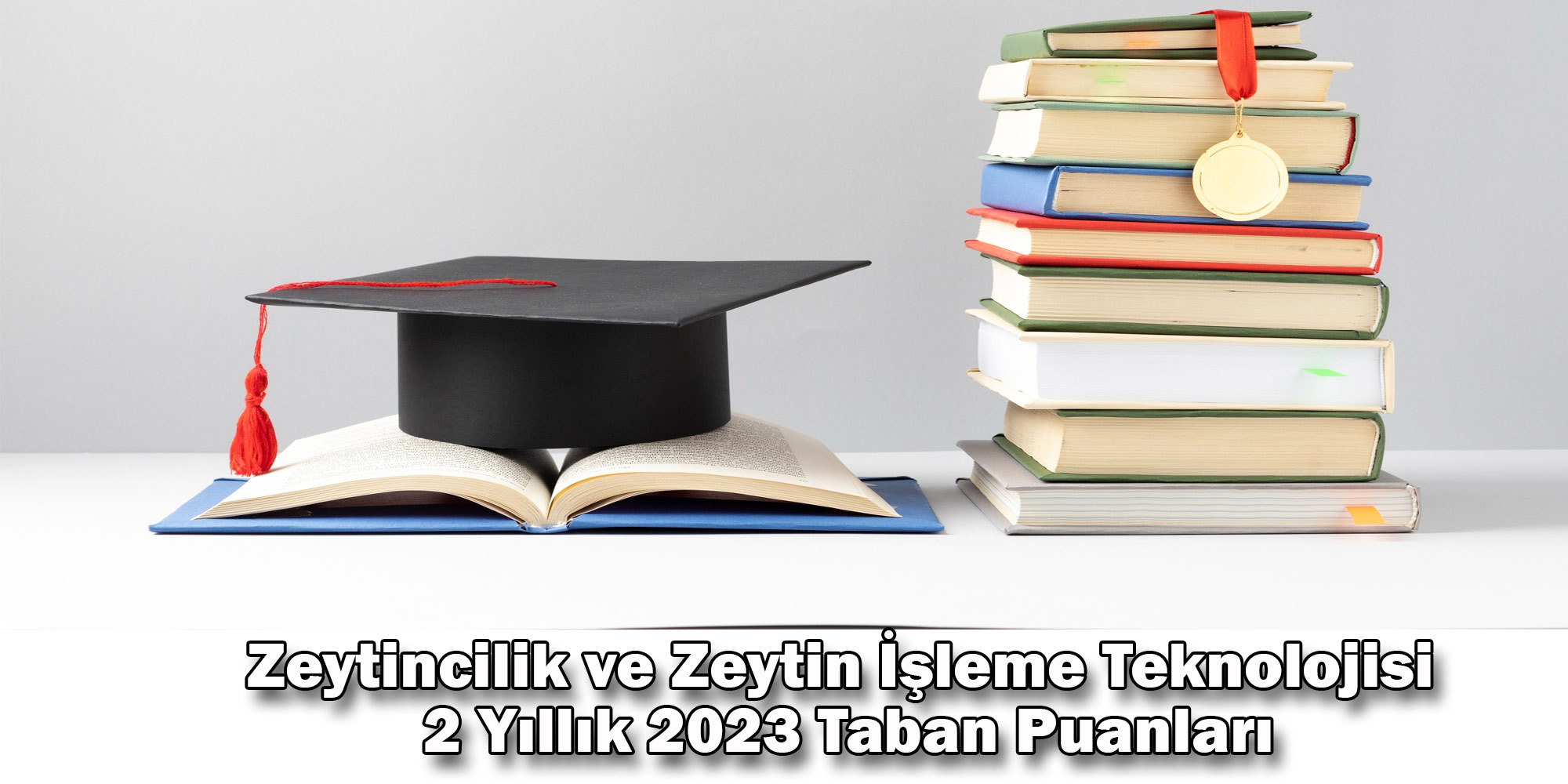 zeytincilik ve zeytin isleme teknolojisi 2 yillik 2023 taban puanlari ve basari siralamalari