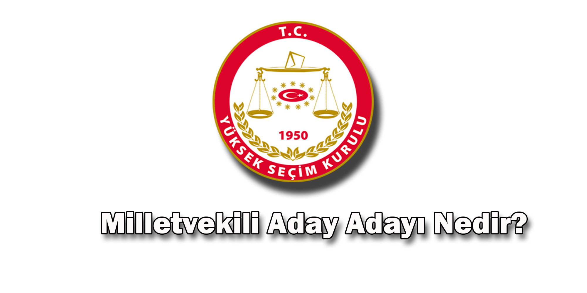 milletvekili aday adayi nedir