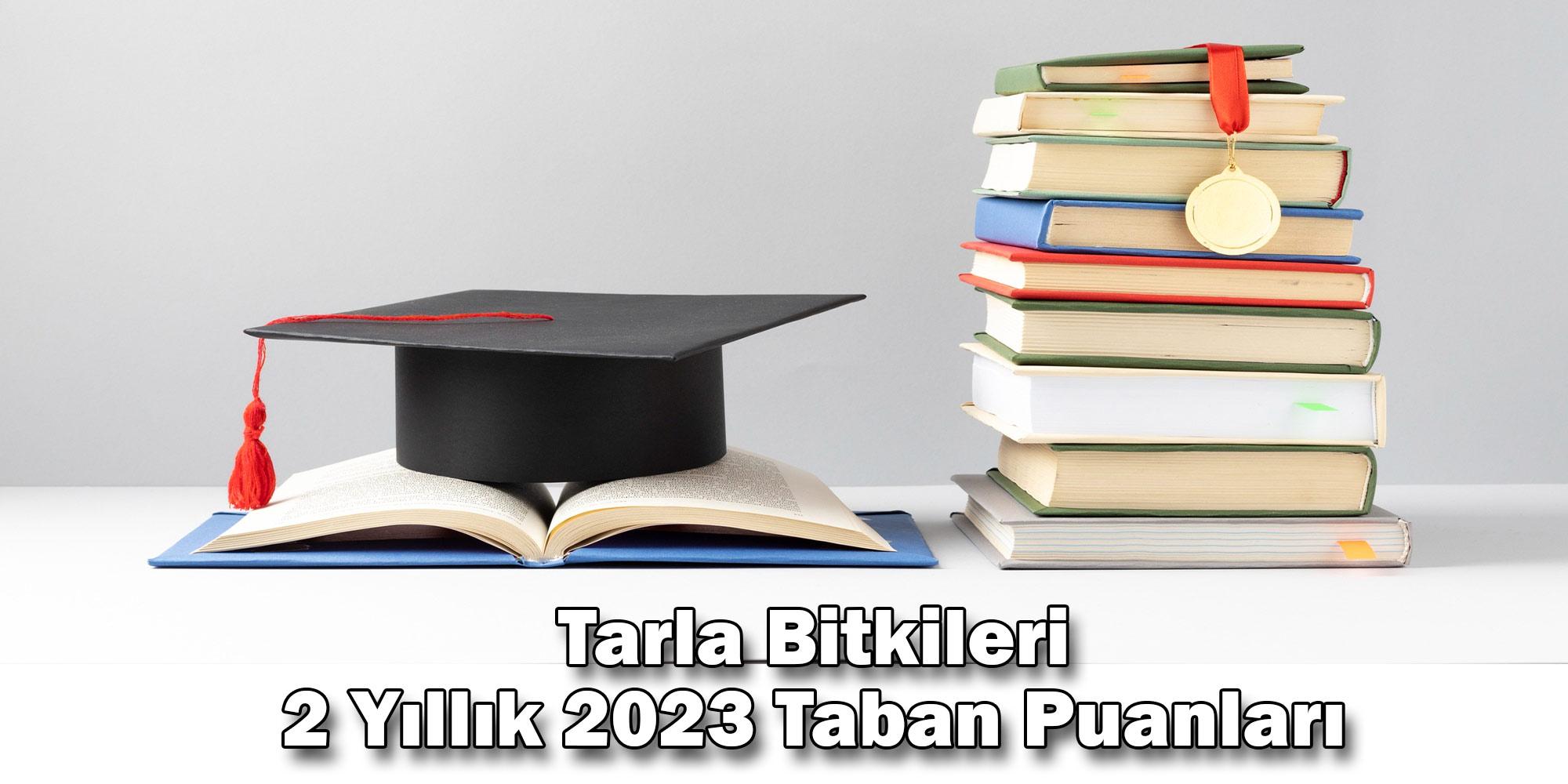 tarla bitkileri 2 yillik 2023 taban puanlari