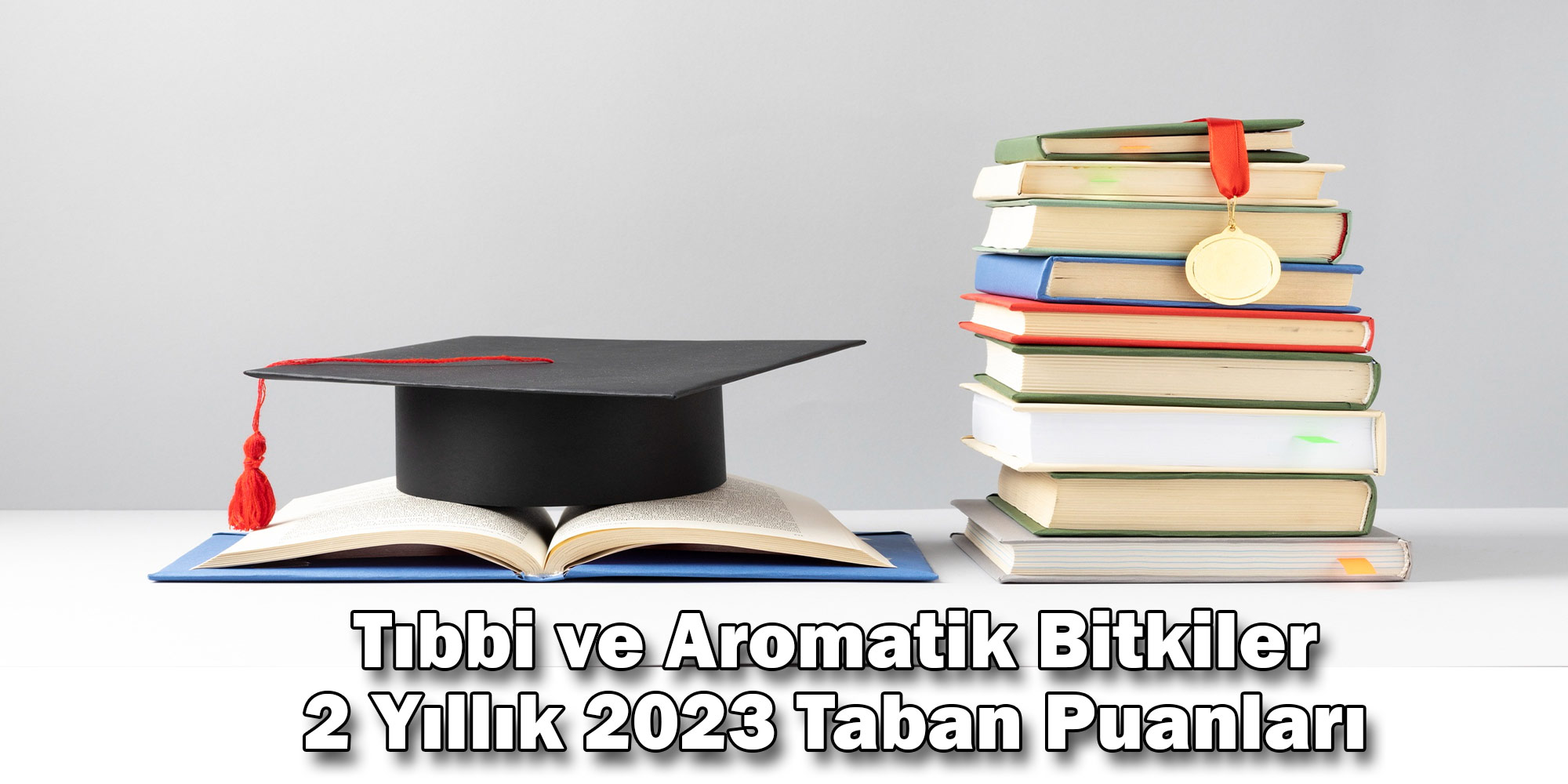 tibbi ve aromatik bitkiler 2 yillik 2023 taban puanlari