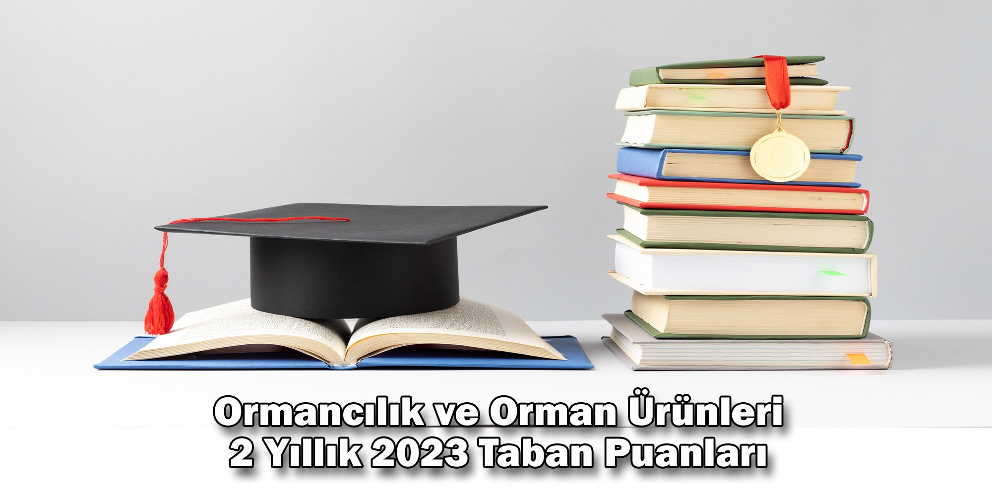 ormancilik ve orman urunleri 2 yillik 2023 taban puanlari