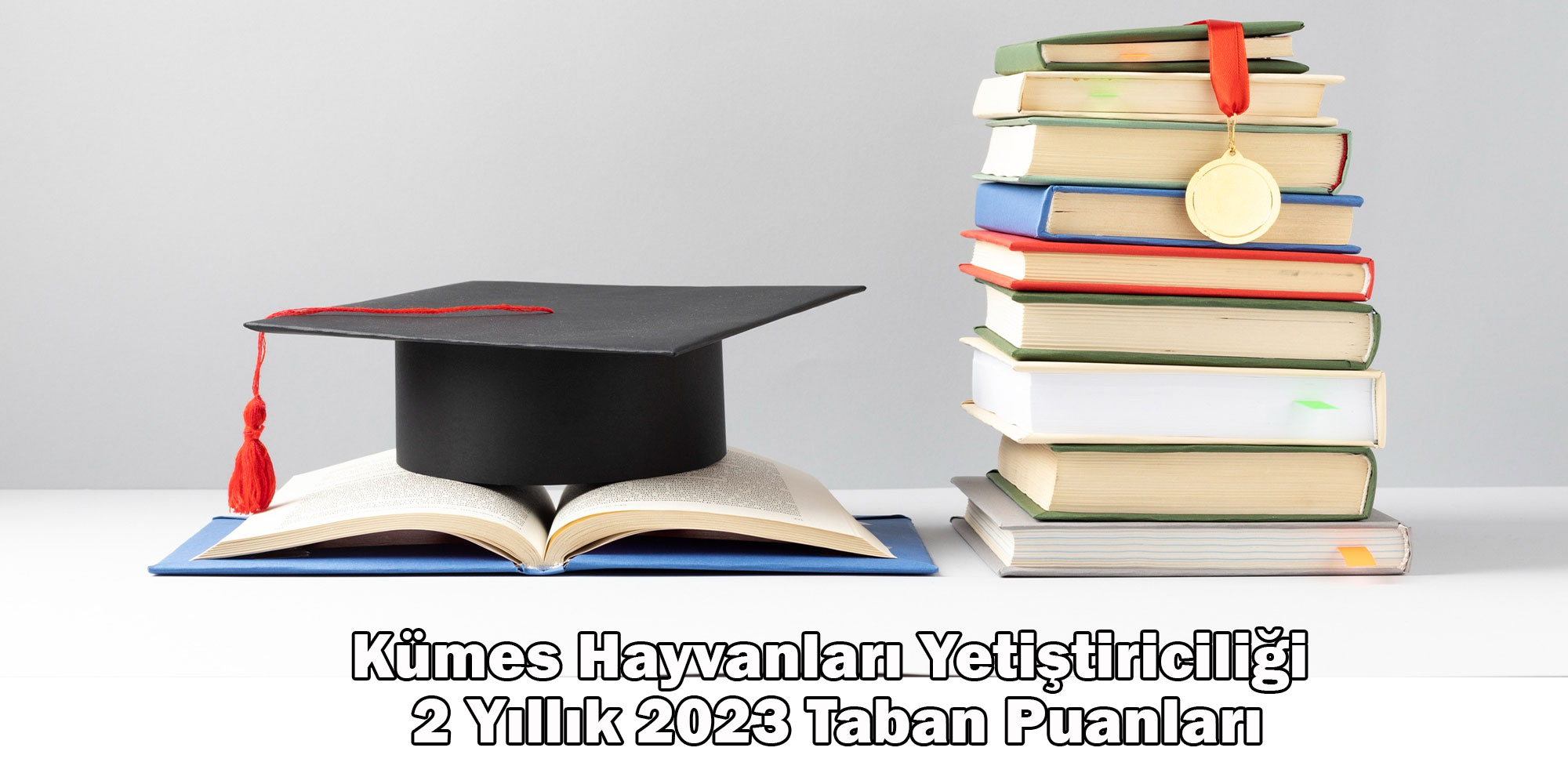 kumes hayvanlari yetistiriciligi 2 yillik 2023 taban puanlari