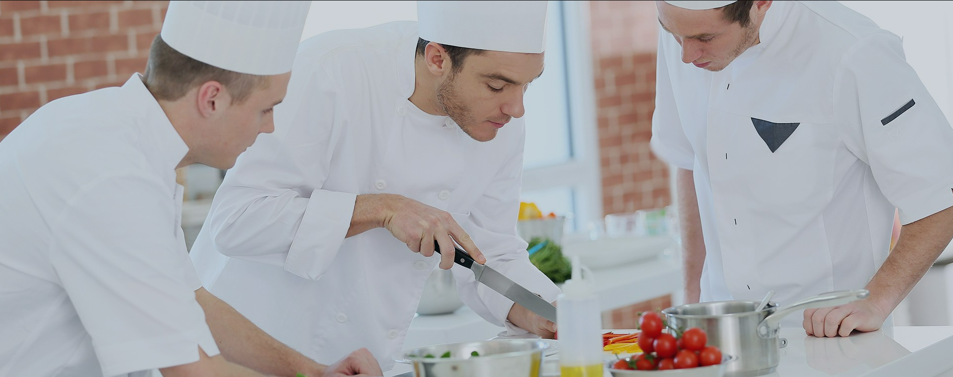 gastronomi bolumu nedir