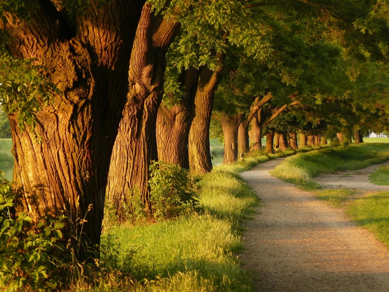 Ağır Git Ki Yol Alasın Atasözü Anlamı Nedir, Uzun Açıklaması Nedir, Ne Demek?