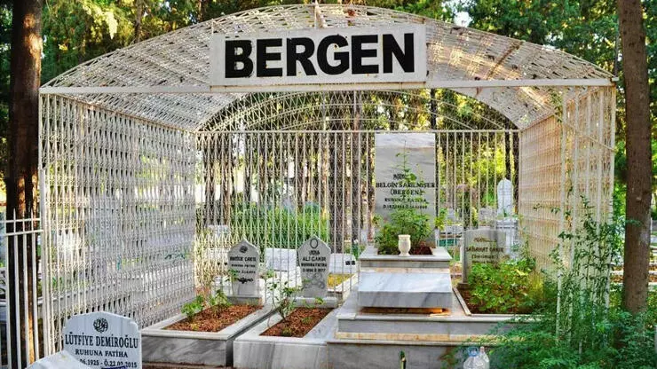 bergen5